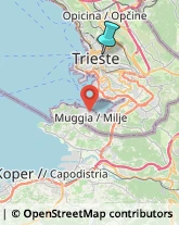 Estetiste,34126Trieste