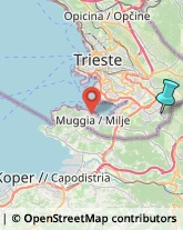 Estetiste,34018Trieste