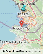 Estetiste,34132Trieste