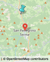 Caccia e Pesca Articoli - Dettaglio,24015Bergamo