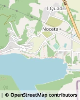 Viale Vincenzo Noceta, 2,05038Terni