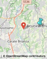 Ristoranti,20842Monza e Brianza