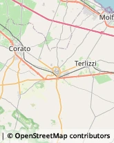 Via Giovanni Bovio, 26,70038Terlizzi