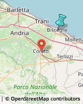 Articoli Sportivi - Dettaglio,76011Barletta-Andria-Trani