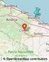 Articoli Sportivi - Dettaglio,76011Barletta-Andria-Trani