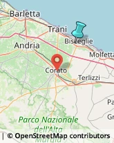 Articoli Sportivi - Dettaglio,76011Barletta-Andria-Trani