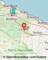 Articoli Sportivi - Dettaglio,76123Barletta-Andria-Trani