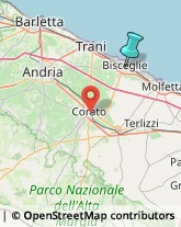 Articoli Sportivi - Dettaglio,76011Barletta-Andria-Trani