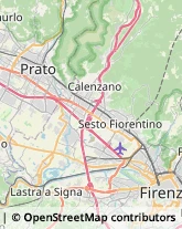 Via Carlo Lorenzini, 2,50127Firenze