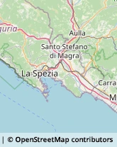 Articoli Sportivi - Dettaglio,54033Massa-Carrara