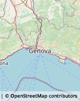 Trading Società,16043Genova