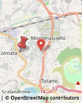 Via Montenuovo Licola Patria, 138,80078Pozzuoli