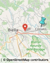 Palestre e Centri Fitness,13836Biella