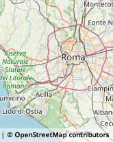 Agenzie Ippiche e Scommesse,00161Roma