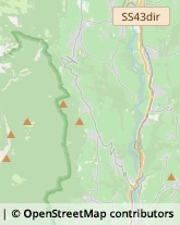 Demolizioni e Scavi,38010Trento