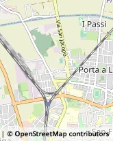 Via di Gagno, 30,56123Pisa