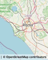 Via Nomentana, 867,00137Roma