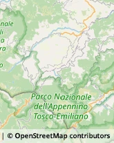 Aziende Agricole,43025Parma