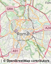 Via Coriolano, 20,00181Roma