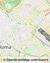 Feste - Organizzazione e Servizi,00185Roma