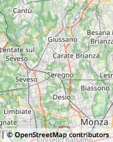 Carta da Parati - Dettaglio,20832Monza e Brianza