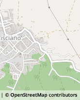 Via Alessandro Manzoni, 3,80030Visciano