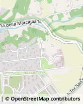 Via della Marcigliana, 532,00139Roma