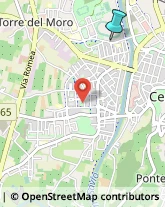 Impianti Sportivi,47521Forlì-Cesena