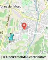 Palestre e Centri Fitness,47522Forlì-Cesena