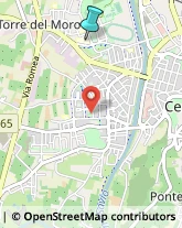 Palestre e Centri Fitness,47522Forlì-Cesena