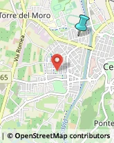 Impianti Sportivi,47522Forlì-Cesena