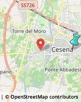 Agenzie di Animazione e Spettacolo,47521Forlì-Cesena