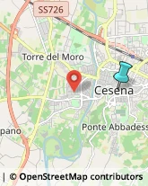 Scuole e Corsi di Lingua,47521Forlì-Cesena