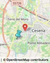 Caccia e Pesca Articoli - Dettaglio,47522Forlì-Cesena