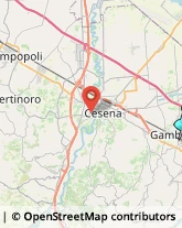 Agenzie di Animazione e Spettacolo,47035Forlì-Cesena