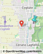 Palestre e Centri Fitness,20815Monza e Brianza