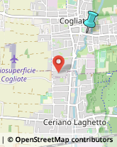 Palestre e Centri Fitness,20815Monza e Brianza