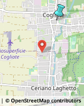 Palestre e Centri Fitness,20815Monza e Brianza