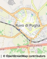 Via Saverio De Palo, 28,70037Ruvo di Puglia