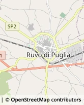 Via Antonio De Curtis, ,70037Ruvo di Puglia