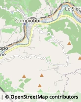 Motori a Scoppio,50012Firenze