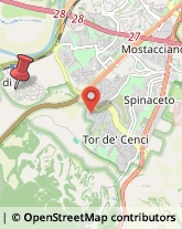 Via Castel d'Aiano, 18,00127Roma