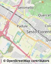 Pelletterie - Dettaglio,50019Firenze