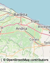 Trasportatori Meccanici,76125Barletta-Andria-Trani