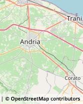 Trasportatori Meccanici,76125Barletta-Andria-Trani