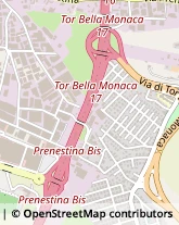 Via Girolamo Variola, 42,00155Roma