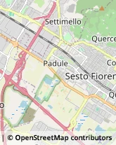 Via Dante Alighieri, 72,50041Calenzano