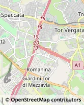 Via Salvatore Barzilai, 91,00173Roma