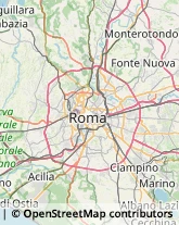 Via Enrico Ferri, 001,00173Roma