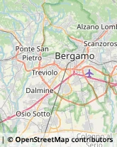 Autogru - Noleggio,24044Bergamo